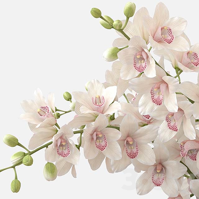 Bouquet of orchids 3DSMax File - thumbnail 2