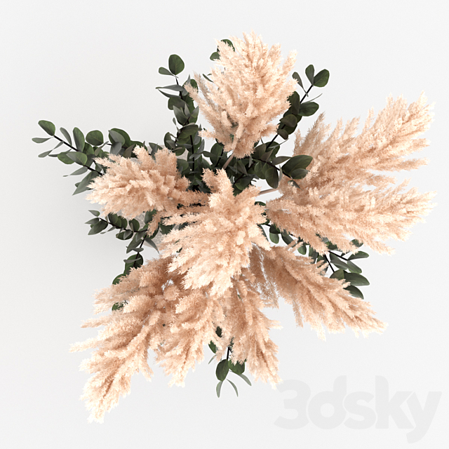 Bouquet of pampas and eucalyptus 3ds Max - thumbnail 3