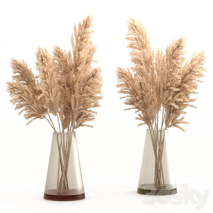 Bouquet of pampas grass 3DS Max - thumbnail 1