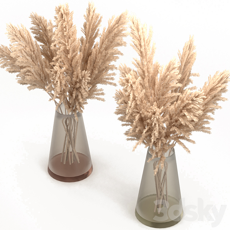 Bouquet of pampas grass 3DS Max - thumbnail 2