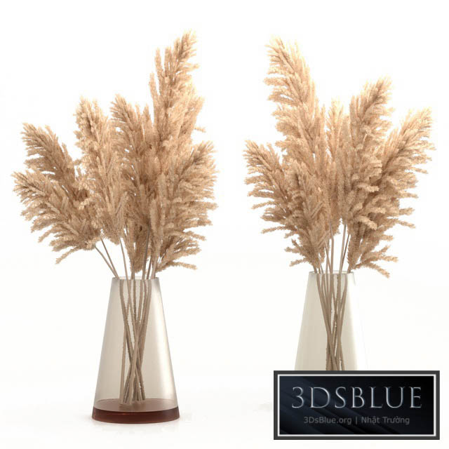 Bouquet of pampas grass 3DS Max - thumbnail 3