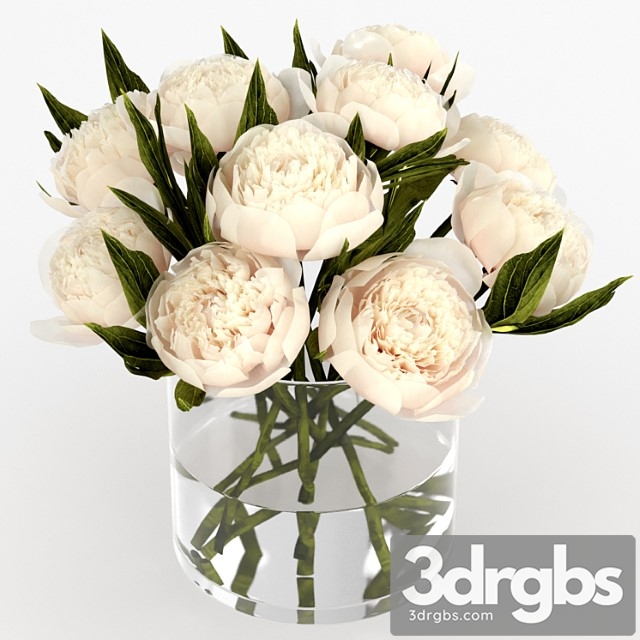 Bouquet of peonies - thumbnail 1