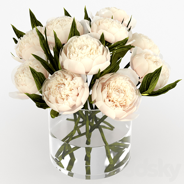 Bouquet of peonies 3DS Max - thumbnail 1