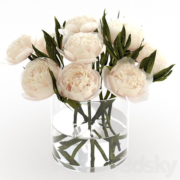 Bouquet of peonies 3DS Max - thumbnail 2