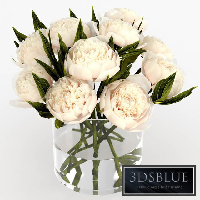 Bouquet of peonies 3DS Max - thumbnail 3