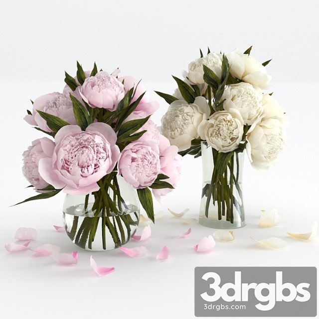 Bouquet of peonies. - thumbnail 1