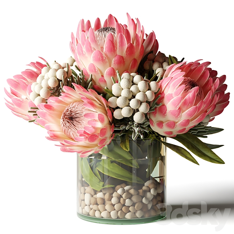 Bouquet of pink proteas with balls 3DS Max Model - thumbnail 1