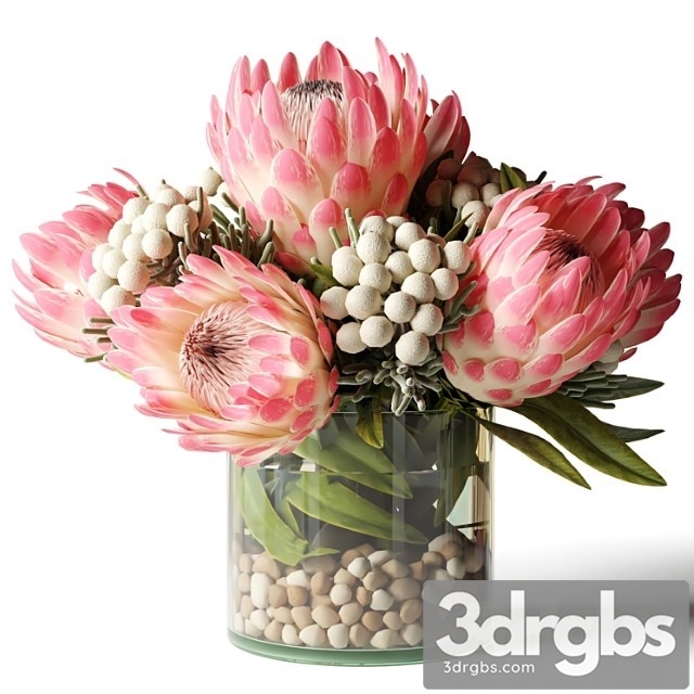 Bouquet of Pink Proteas With Balls 3dsmax Download - thumbnail 1