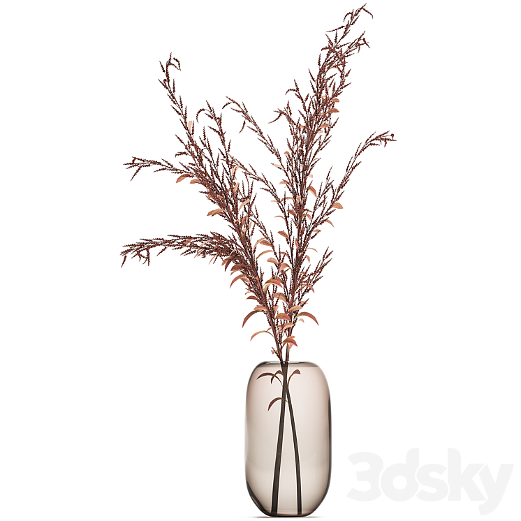 Bouquet of red branches of dried flowers in a glass vase with Goldenrod Solidago. Set 153. 3DS Max Model - thumbnail 2