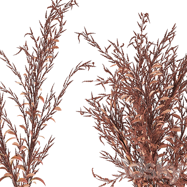 Bouquet of red branches of dried flowers in a glass vase with Goldenrod. Solidago. Set 153. 3DSMax File - thumbnail 5