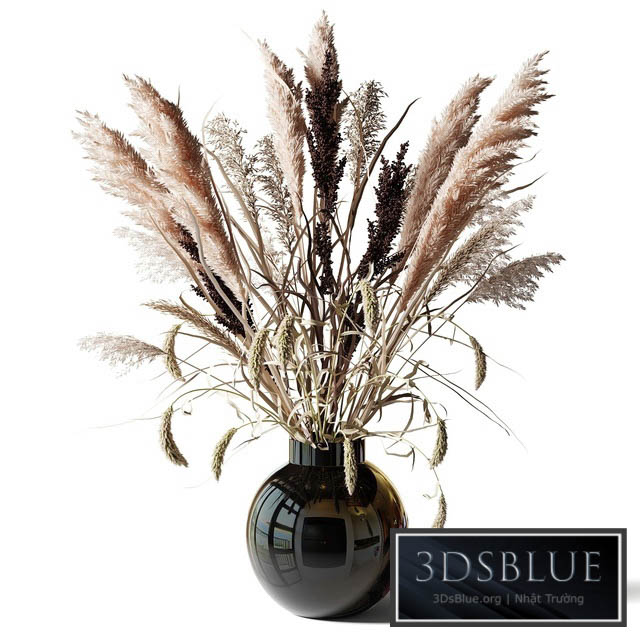 Bouquet of tall dry grass in a black vase 3DS Max - thumbnail 3