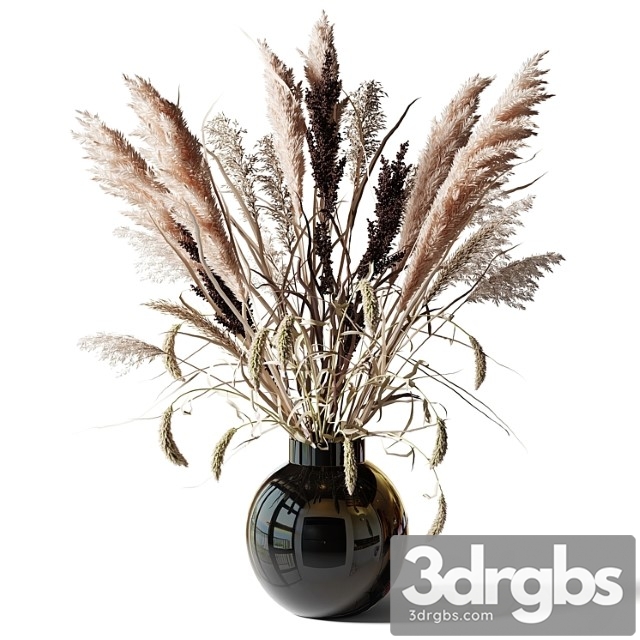 Bouquet of tall dry grass in a black vase - thumbnail 1