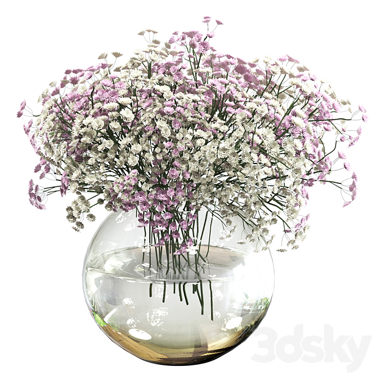 Bouquet of white and pink gypsophila 3DS Max Model - thumbnail 1