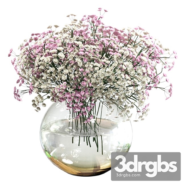 Bouquet of white and pink gypsophila - thumbnail 1