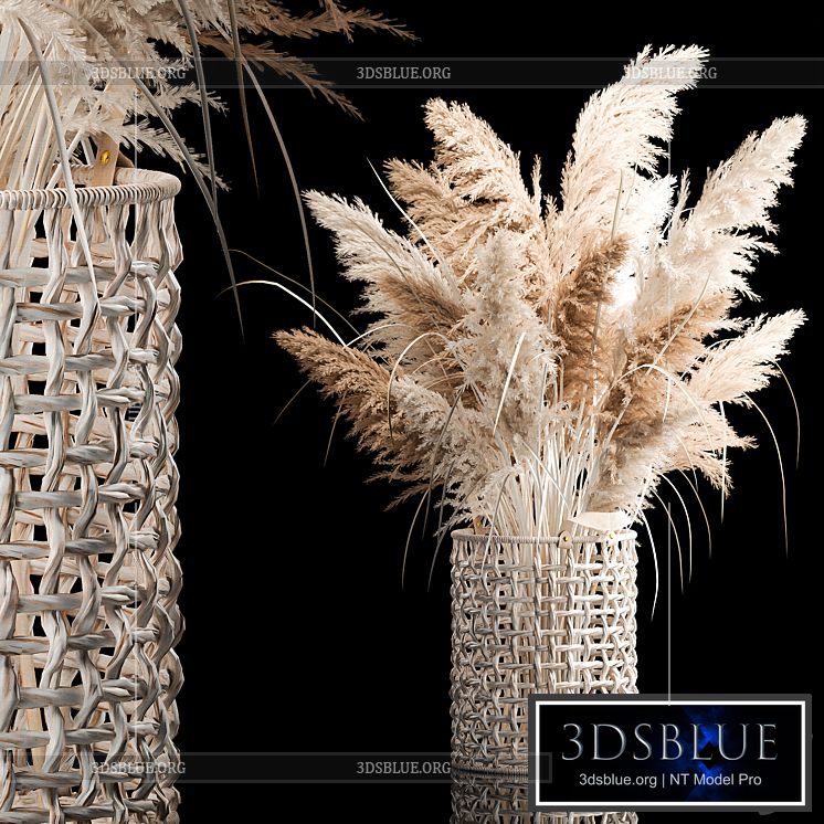 Bouquet of white dried flowers in a wicker basket reeds pampas grass Cortaderia. 256. 3DS Max - thumbnail 3