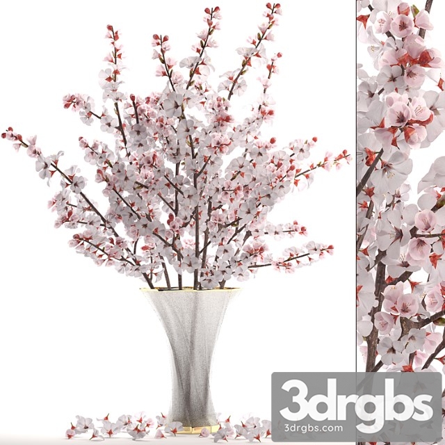 Bouquet of white flowers 24.bouquet of cherry blossoms, sakura, branches, vase, decor, white - thumbnail 1