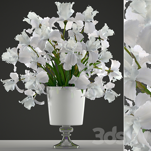 Bouquet of white flowers 45. White Irises. vase. decor. flower 3DSMax File - thumbnail 1