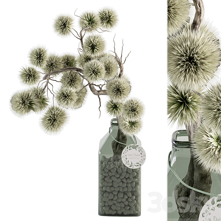 Bouquet plants 96 – Dried Plant Stirlingia 3DS Max Model - thumbnail 1