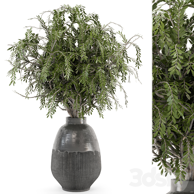 Bouquet Plants in rusty Concrete Pots – Set 562 3DS Max Model - thumbnail 1