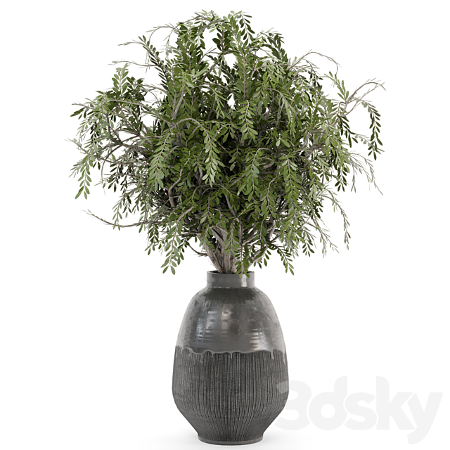 Bouquet Plants in rusty Concrete Pots – Set 562 3DSMax File - thumbnail 4