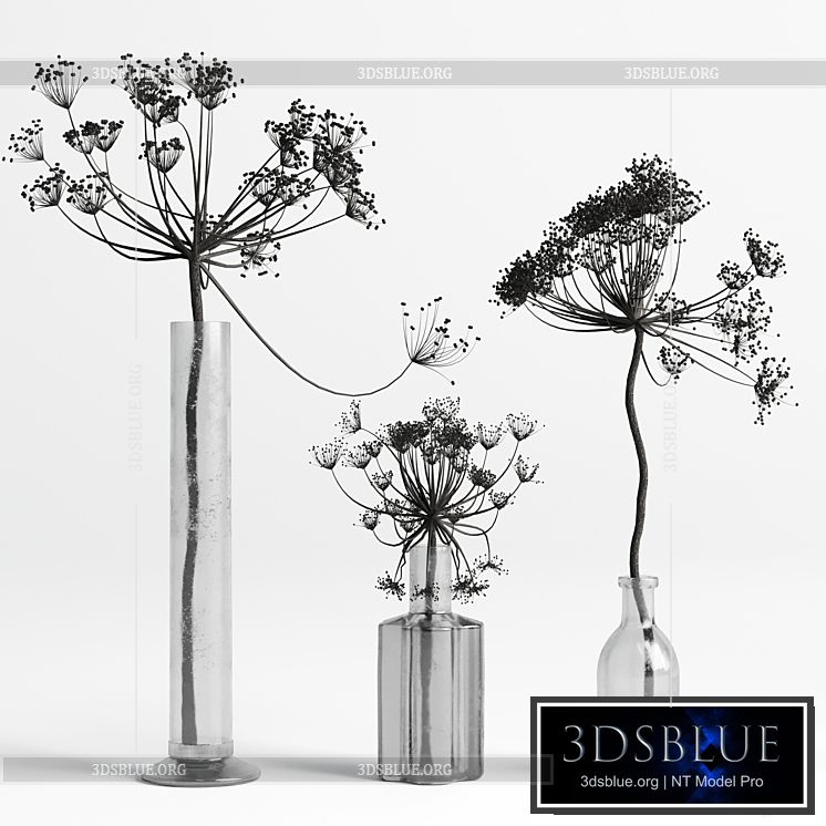 Bouquet Set 01 Vase Glass Dry Hogweed 3DS Max - thumbnail 3