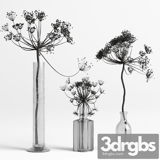 Bouquet set 01 vase glass dry hogweed - thumbnail 1