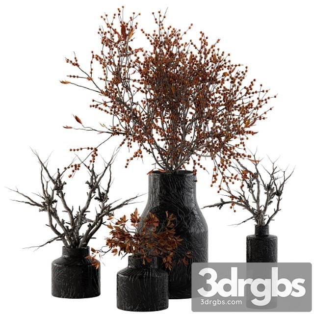 Bouquet Set 11 Dried Branch And Berry 3dsmax Download - thumbnail 1