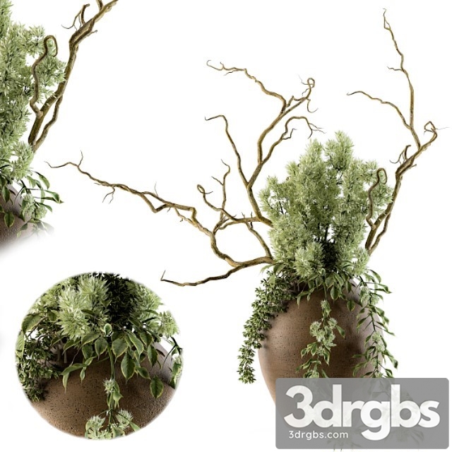 Bouquet Set 18 3dsmax Download - thumbnail 1