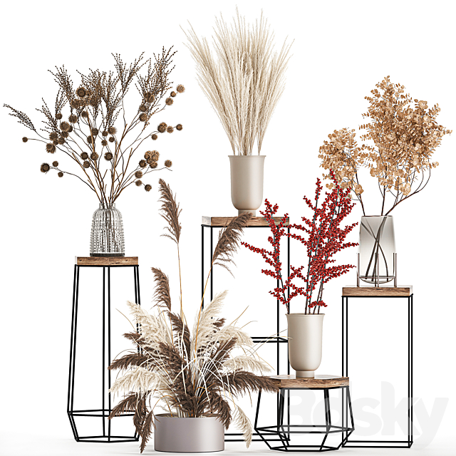 Bouquet set 212. Dried flower. vase. decor. shelf. branches. thorns. pampas grass 3DSMax File - thumbnail 1