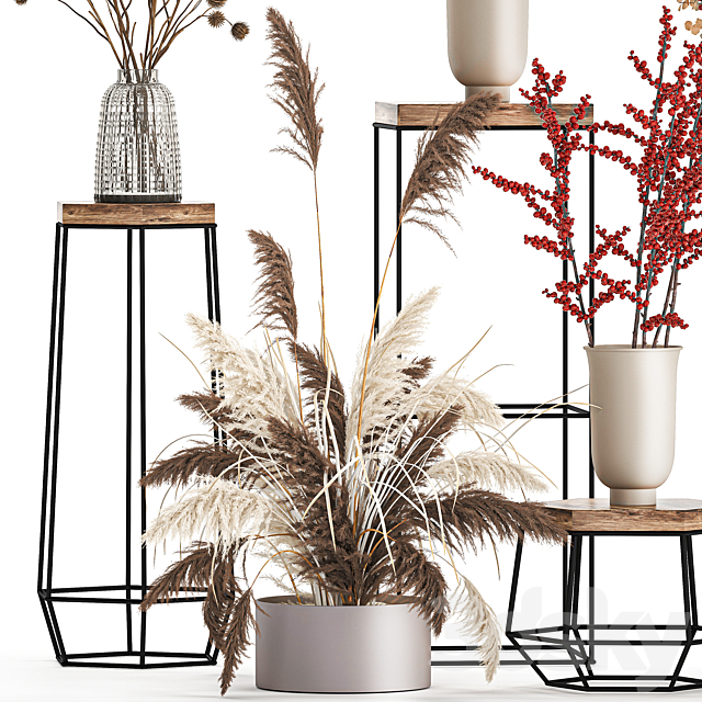 Bouquet set 212. Dried flower. vase. decor. shelf. branches. thorns. pampas grass 3DSMax File - thumbnail 2