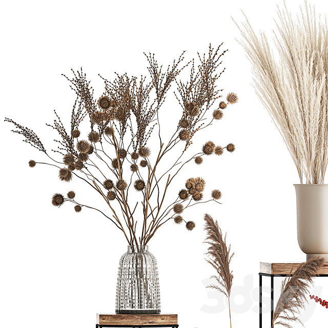 Bouquet set 212. Dried flower. vase. decor. shelf. branches. thorns. pampas grass 3DSMax File - thumbnail 3