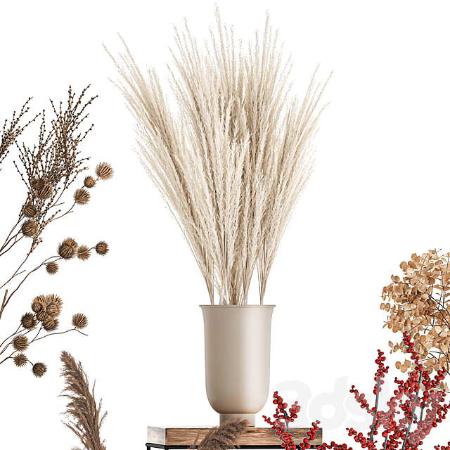 Bouquet set 212. Dried flower. vase. decor. shelf. branches. thorns. pampas grass 3DSMax File - thumbnail 5