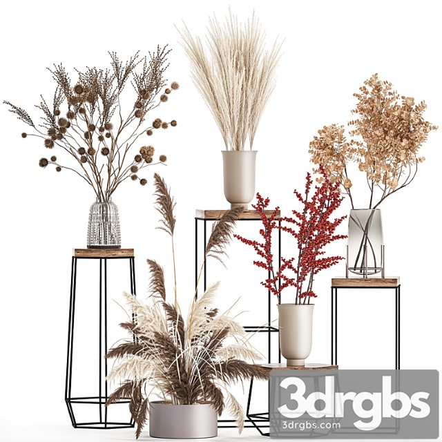 Bouquet set 212. dried flower, vase, decor, shelf, branches, thorns, pampas grass - thumbnail 1