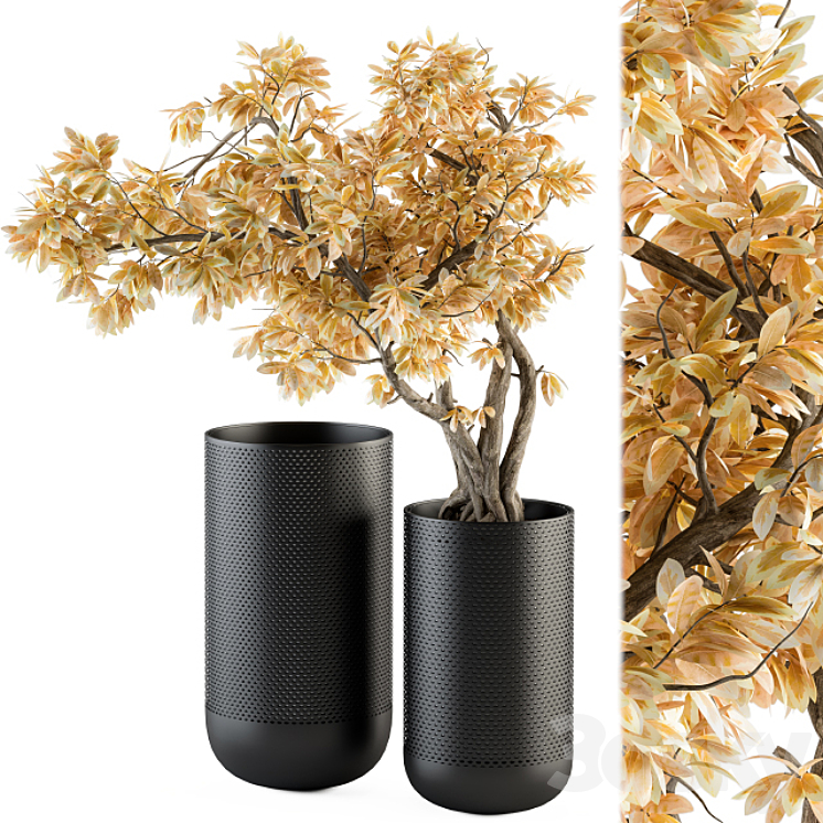 Bouquet Set – Autumn Branch in Black Vase 78 3DS Max - thumbnail 1