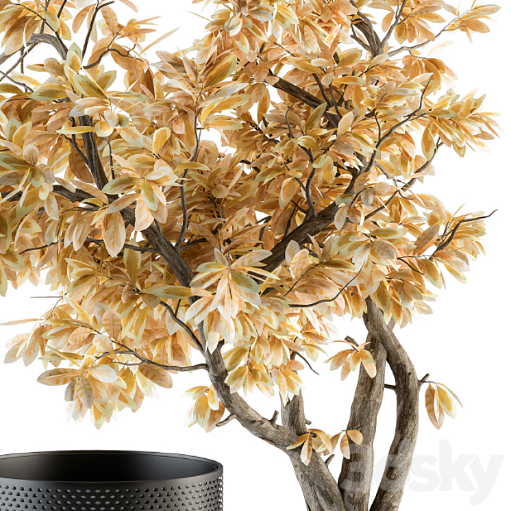 Bouquet Set – Autumn Branch in Black Vase 78 3DS Max - thumbnail 2