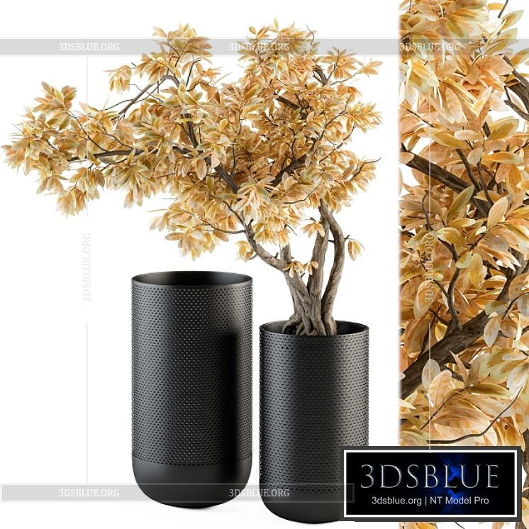 Bouquet Set – Autumn Branch in Black Vase 78 3DS Max - thumbnail 3