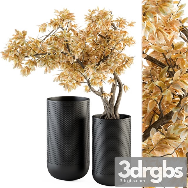 Bouquet set – autumn branch in black vase 78 - thumbnail 1