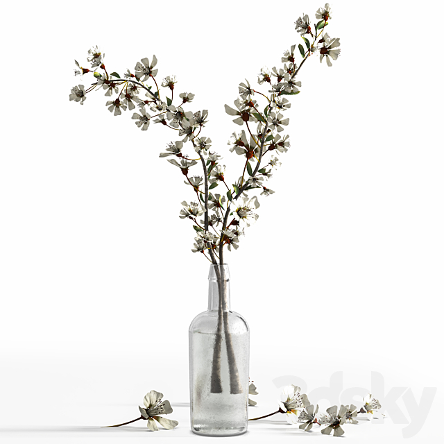 Bouquet to cozy the house 3DS Max Model - thumbnail 2