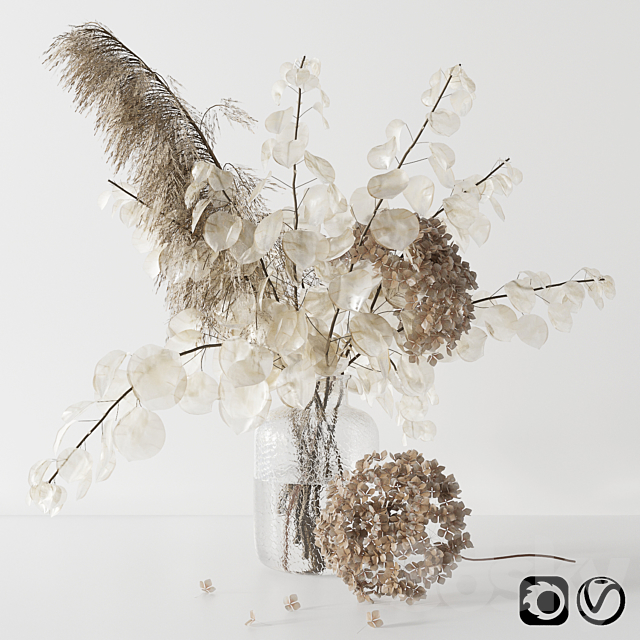 Bouquet with lunaria. pampas grass and hydragea 3DSMax File - thumbnail 1