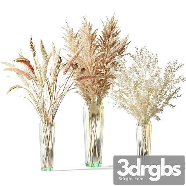 Bouquets of dried flowers in glass vases – set 1 - thumbnail 1