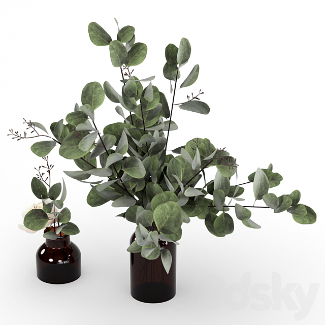 Bouquets of eucalyptus. 3DS Max Model - thumbnail 2