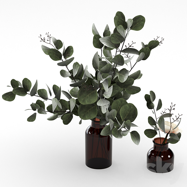 Bouquets of eucalyptus. 3DS Max Model - thumbnail 3