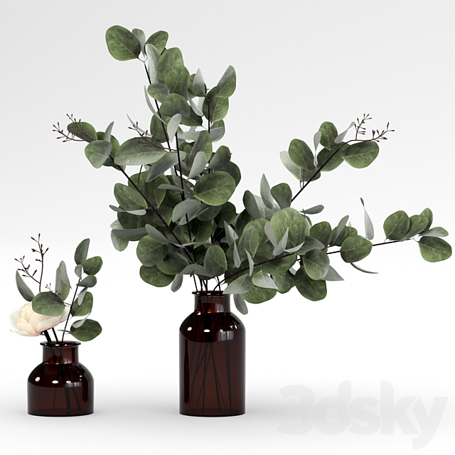 Bouquets of eucalyptus. 3DS Max Model - thumbnail 4