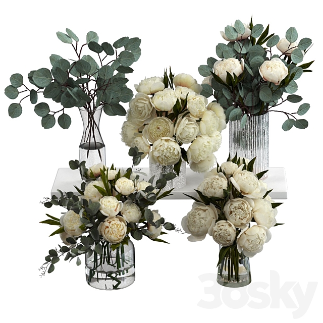 Bouquets of eucalyptus and peonies 3ds Max - thumbnail 1