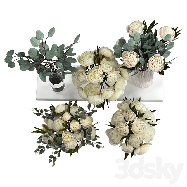 Bouquets of eucalyptus and peonies 3ds Max - thumbnail 3