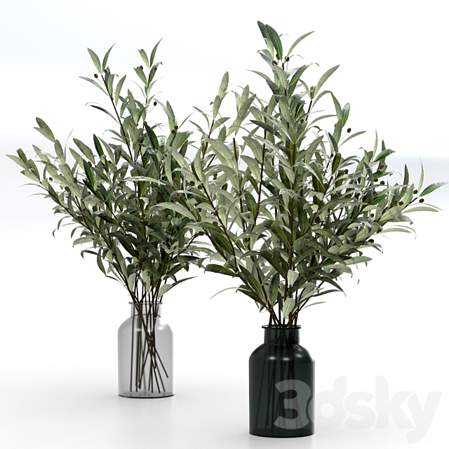 Bouquets of olives. 3DS Max Model - thumbnail 2