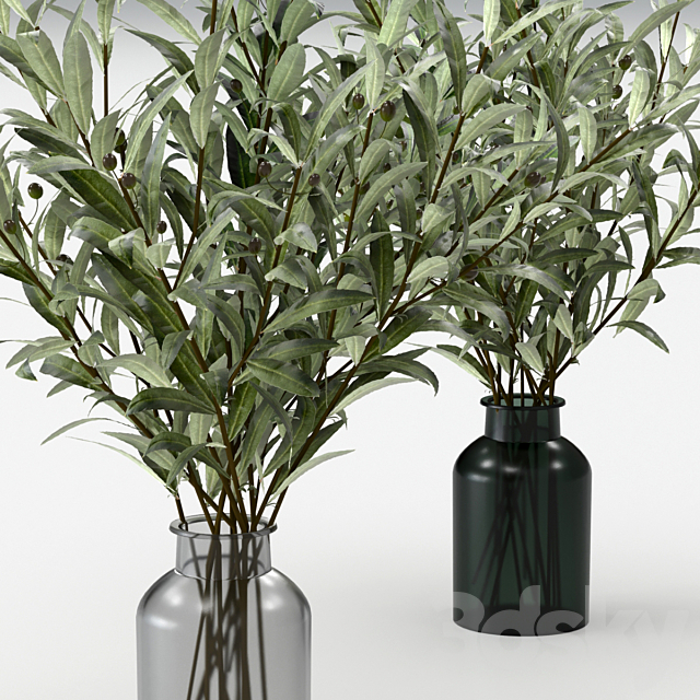 Bouquets of olives. 3DS Max Model - thumbnail 3