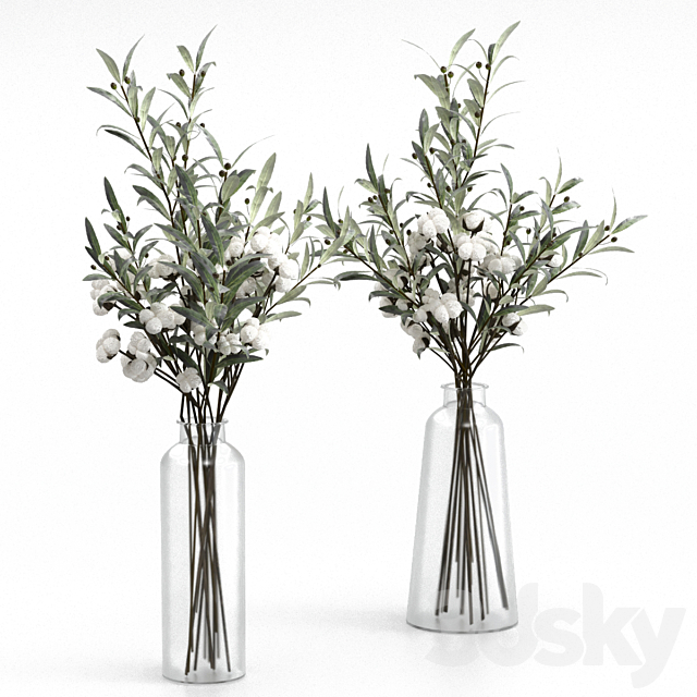 Bouquets of olives and cotton. 3DSMax File - thumbnail 1