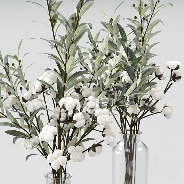 Bouquets of olives and cotton. 3DSMax File - thumbnail 4