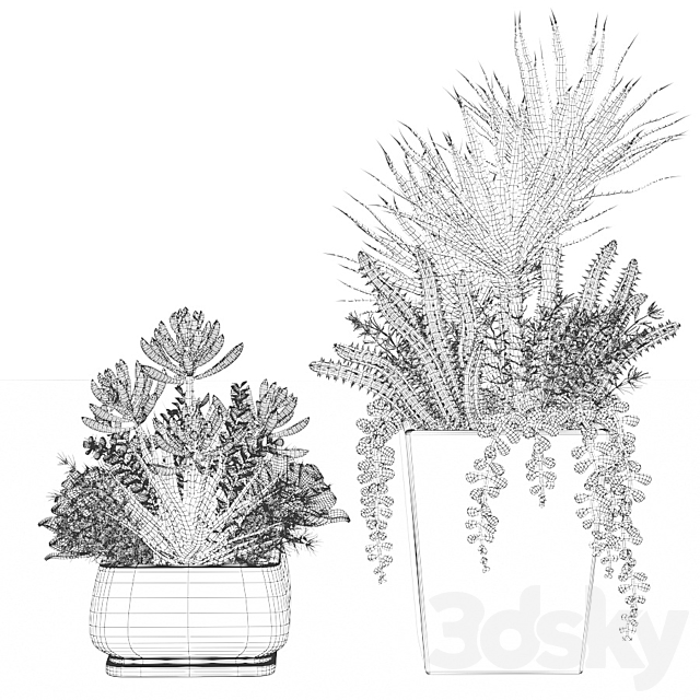 Bouquets of succulents in square pots 3DSMax File - thumbnail 3